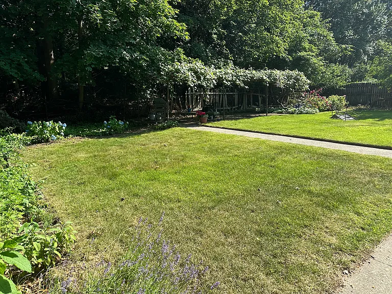 Primrose Dr — Photo 23