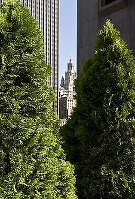 Rented by Corcoran | media 15