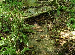 641 Buckeye Ln, Stella, MO 64867