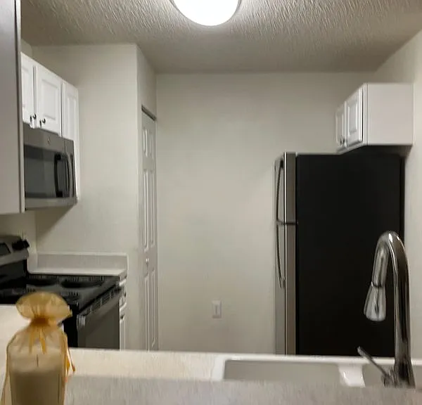 4240 Summer Landing Dr #102 — Photo 14