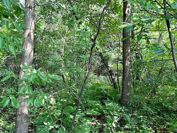 4th image of On Pine Shore Ln