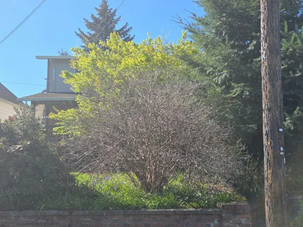 1025 Ellinor Ave, Shelton, WA 98584