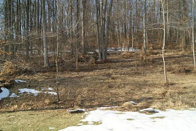 157 Madison Way #1 — Photo 2