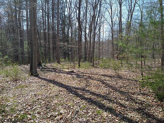2nd image of Stewart Ln