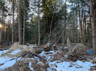 144 Irondale Rd #59, Salisbury Center, NY 13454