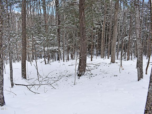 4th image of 62 Carriage Knolls Road