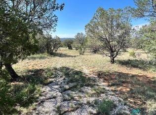 66 Turkey Canyon Rd, Carlsbad, NM 88220