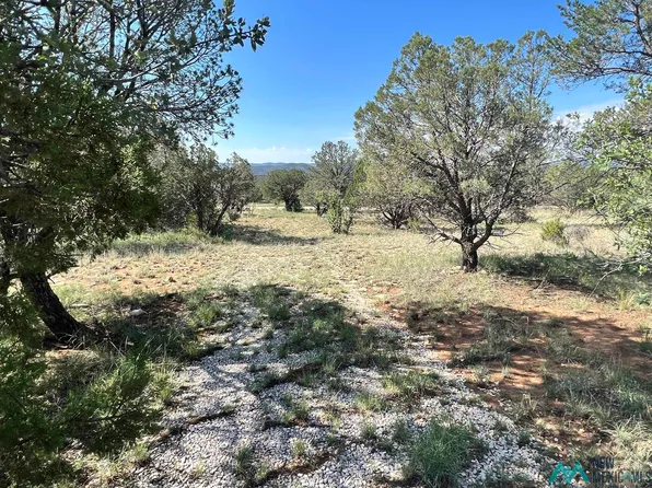 66 Turkey Canyon Rd, Carlsbad, NM 88220