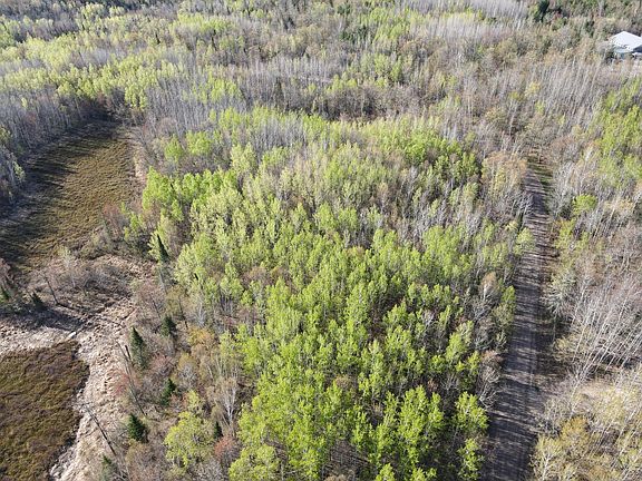 5th image of 101 Baich Dr