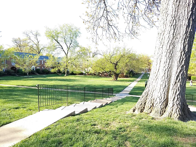 3303 Commonwealth Ave #A — Photo 38