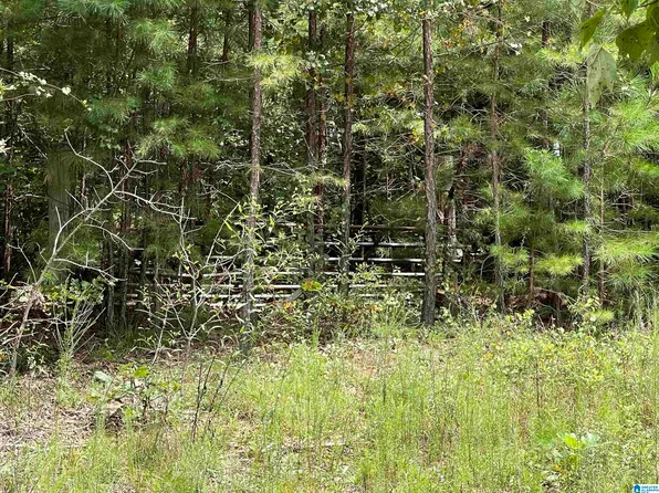 County Road 214 #31, Wedowee, AL 36278