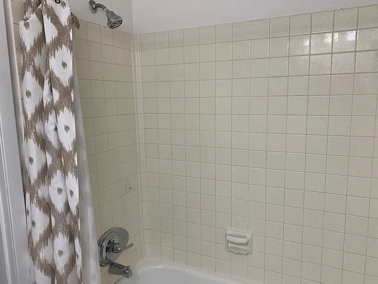 Hall Bathroom