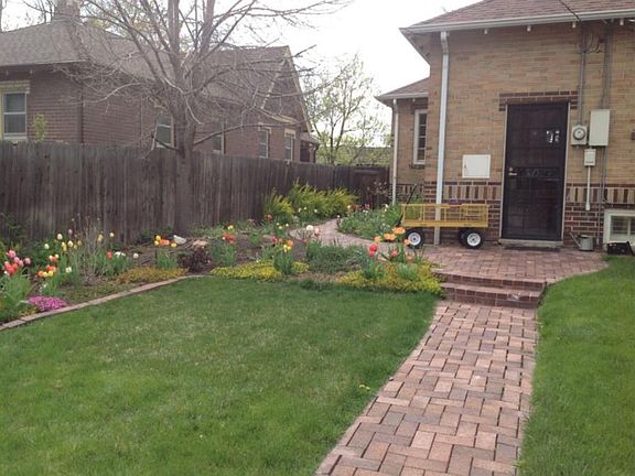 Backyard (2 of 2)