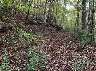 0 Wasena Ln #8 & 10, Rutherfordton, NC 28139