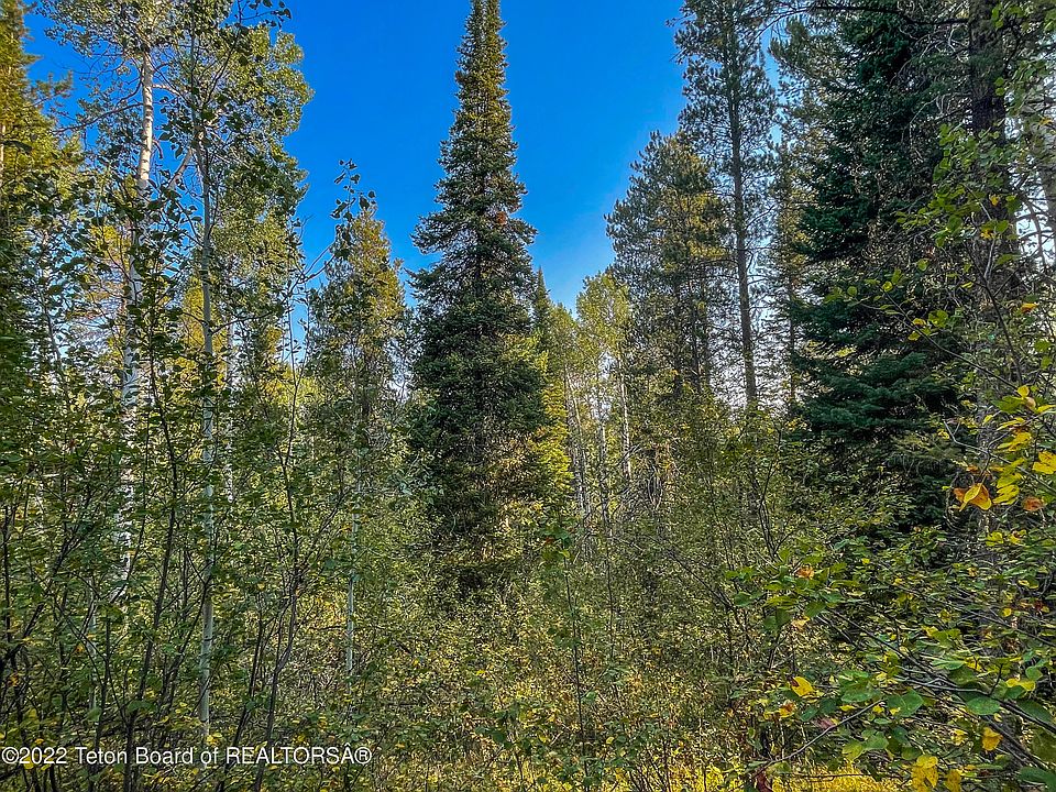 Alpine Meadow Loop 14, Alpine, WY 83128 MLS 23703 Zillow