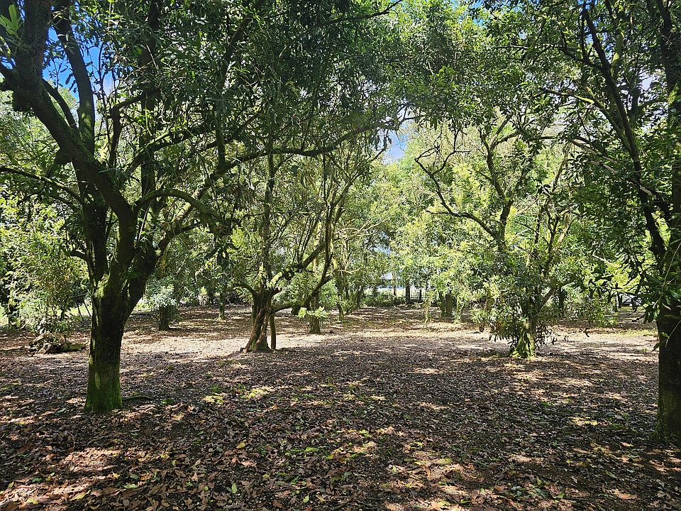 1st image of 21st Ave Lot 347