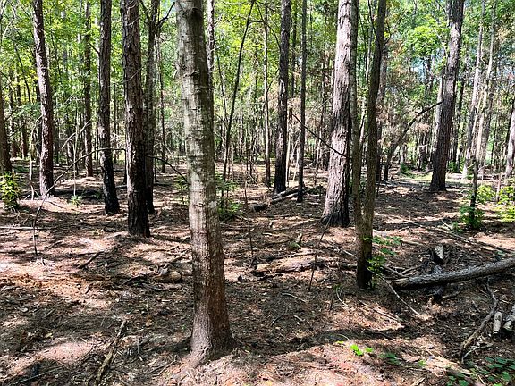 2nd image of 0 County Road 7