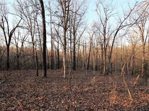 County Road 645 #34&44, Green Forest, AR 72638