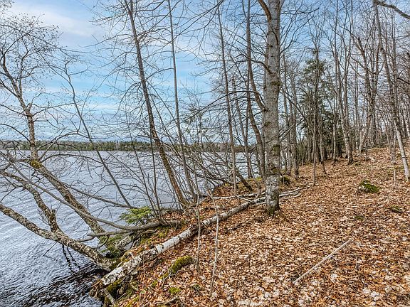 5th image of Johnson Ln Lot 8