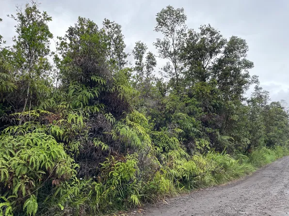 ROAD 1 (UHINI ANA), Mountain View, HI 96760