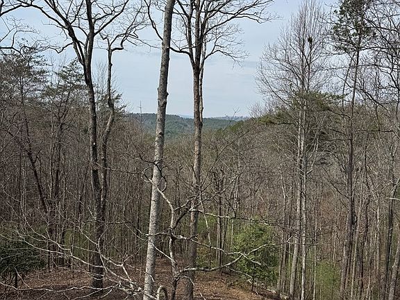 4th image of 1600 My Mountain Rd
