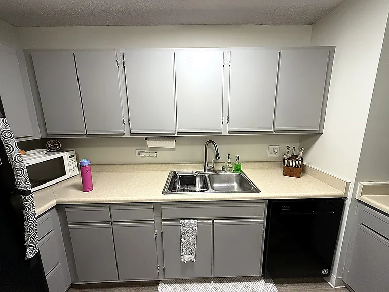 1122 N Clark St #3005 — Photo 8