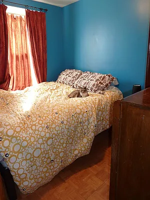 Rented by Brooklyn Real Estate Services | media 3