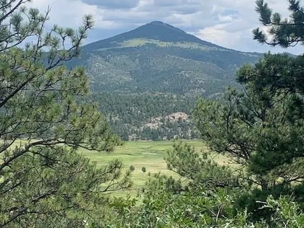 898 Navajo Dr, Florissant, CO 80816