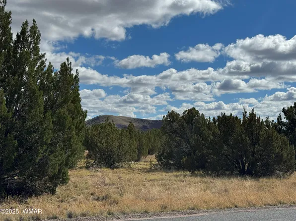 5 Clubhouse Ln, Concho, AZ 85924