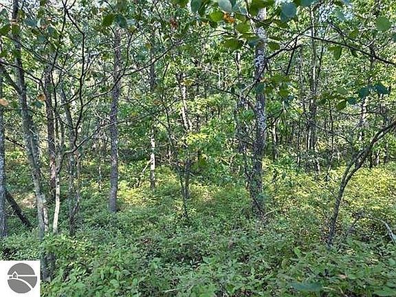 4th image of 0 Wintergreen St