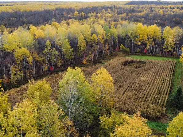 120 acre HWY 86, Tomahawk Town, WI 54487