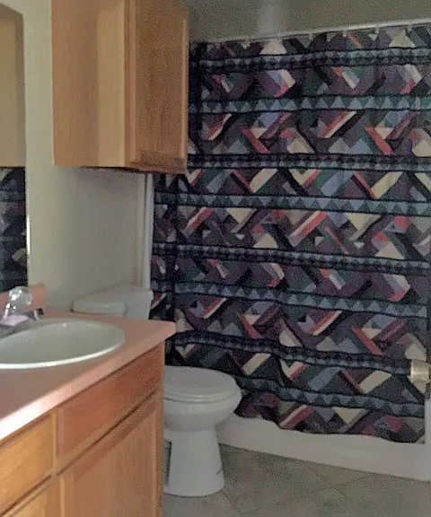4113 Fossil Ridge Dr — Photo 5