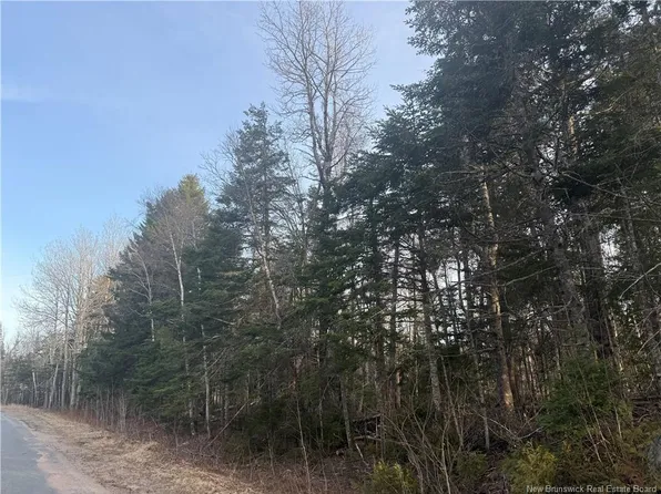 McKay Loop Rd, Pennfield, NB E5H 2K3