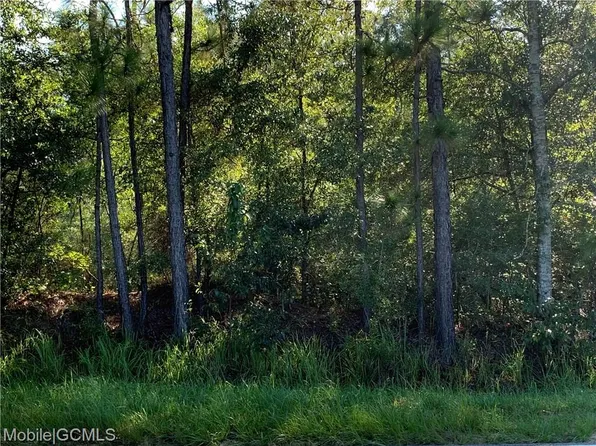 7792 Jack Williams Rd, Wilmer, AL 36587