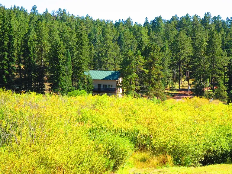 15729 Pine Lake Dr — Photo 2