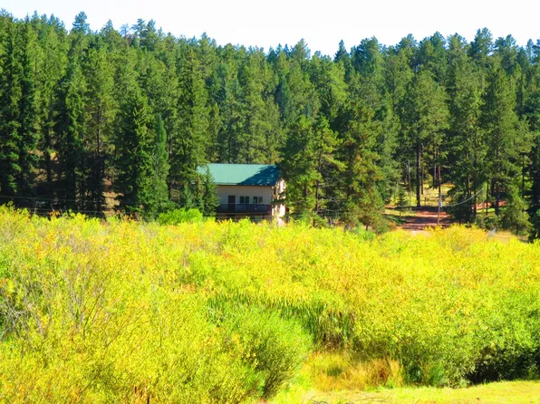 15729 Pine Lake Dr, Woodland Park, CO 80863