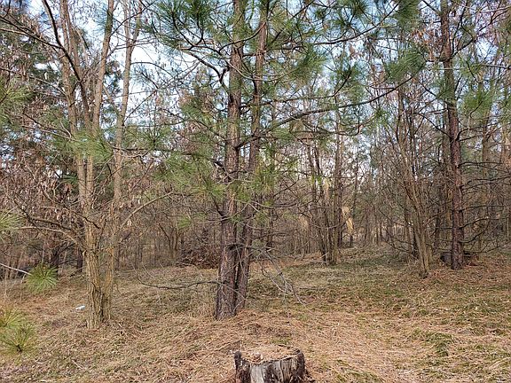 3rd image of 1395 Ponderosa Way Lot 60