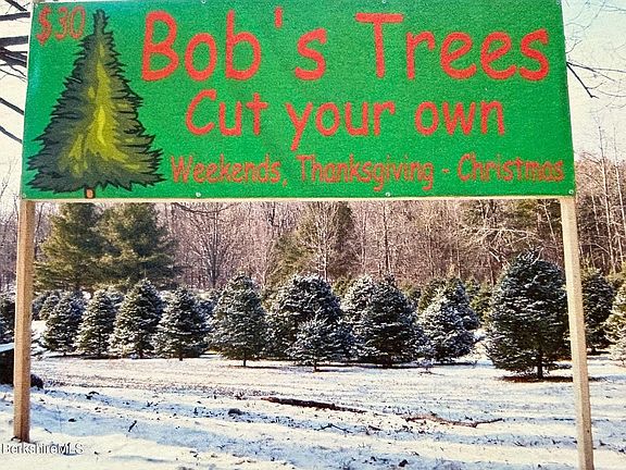 3rd image of 10 Maple St