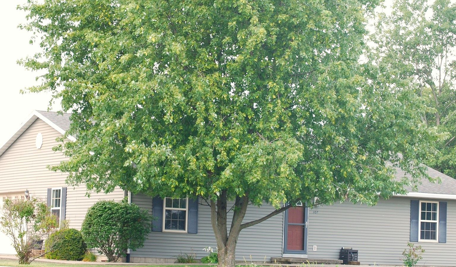 107 S 4th St, Tolono, IL 61880 Zillow