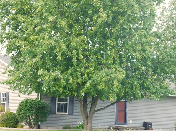 107 S 4th St, Tolono, IL 61880