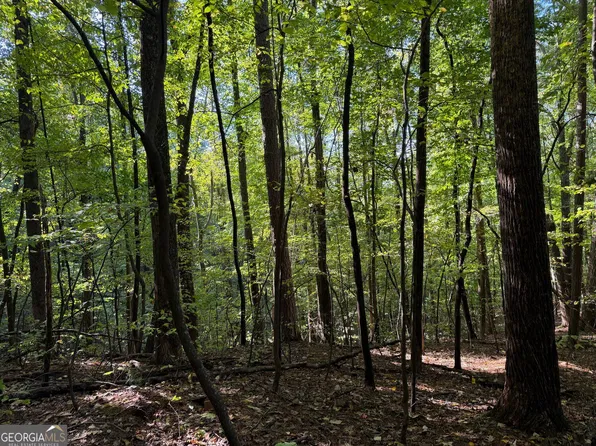 0 Mountain View Ct #J349-350, Ellijay, GA 30536