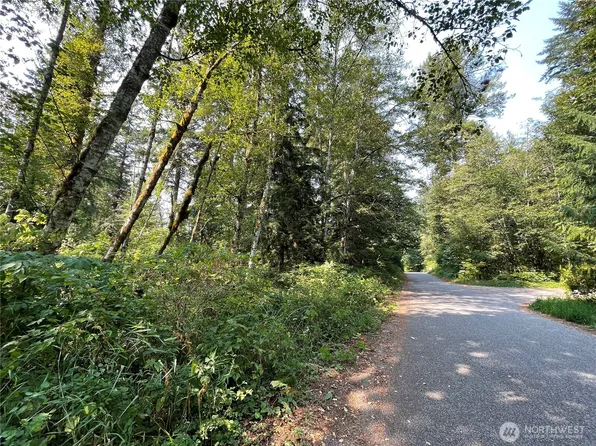 7521 Olsen Drive, Glacier, WA 98244