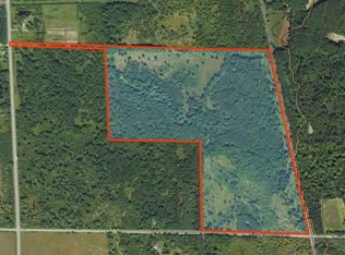 V/l 118a Townline Rd, Free Soil, MI 49411