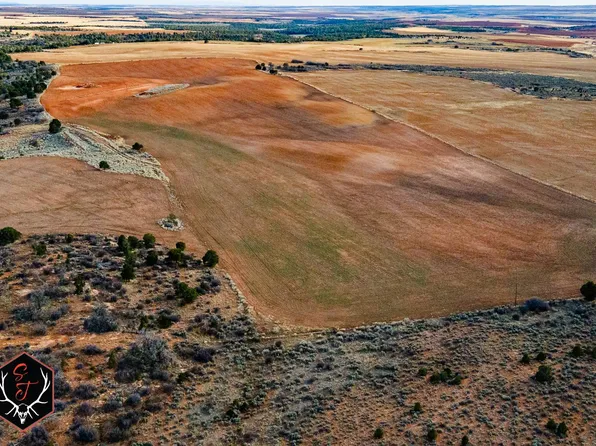 County Road 6h S, Egnar, CO 81325