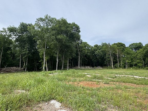 4th image of 0 Old Nashville Dirt Rd