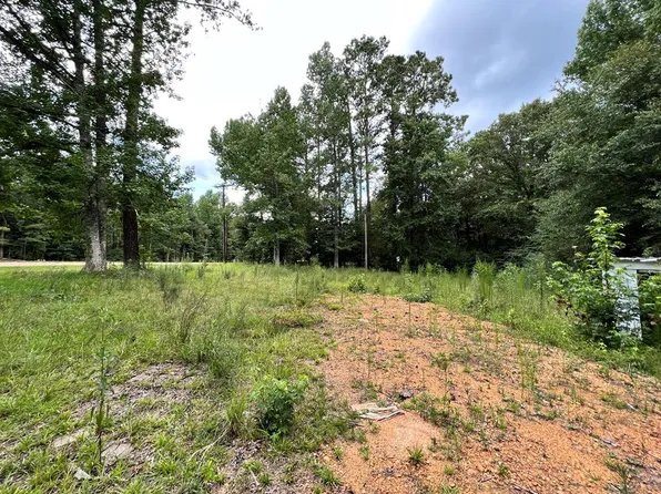 LOT 3 Highway 98 E, Meadville, MS 39653