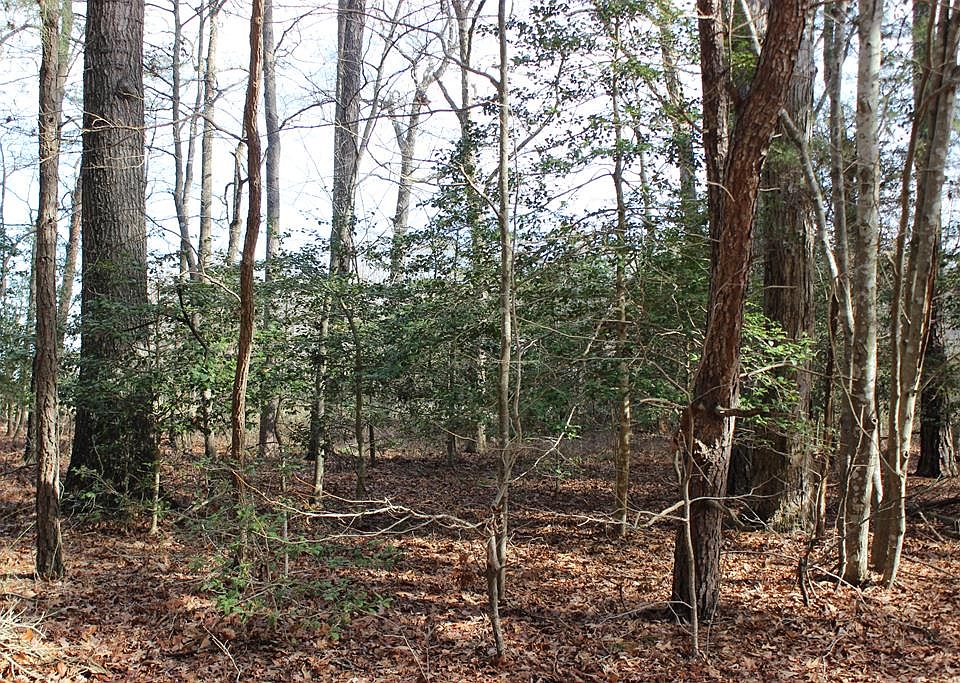 1st image of 151 Shanghai Rd #151