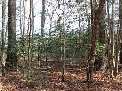 151 Shanghai Rd #151, Greenbackville, VA, 23356