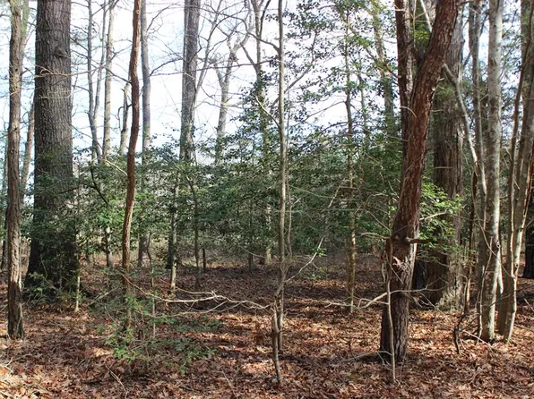 151 Shanghai Rd #151, Greenbackville, VA 23356