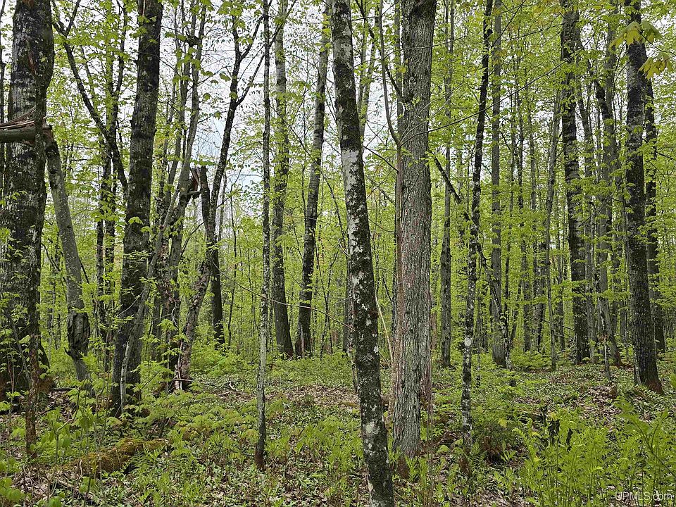 1st image of LOT 37 Yellow Rd